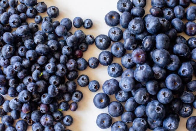 small wild blueberries on the left, cultivated large blueberries on the right.