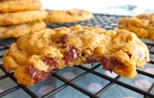 Oat chocolate chip cookie with bite out of it and gooey chocolate.