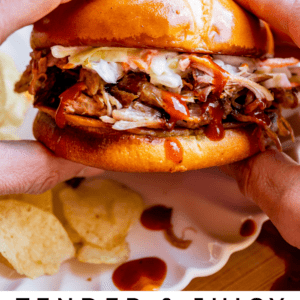 hands holding a smoked pulled pork sandwich over a white plate with chips.