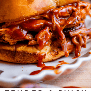 pulled pork with bbq sauce on a bun on a white plate.