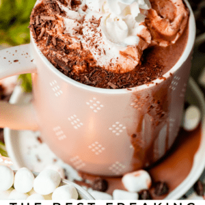 best hot chocolate in a mug with whipped cream and twinkle lights.