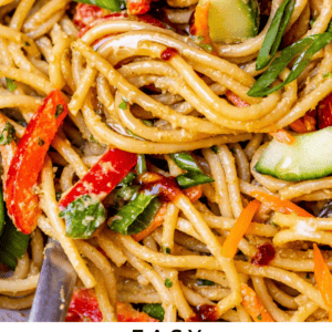 sesame peanut noodles with green onions, cucumber, red bell peppers, close up.