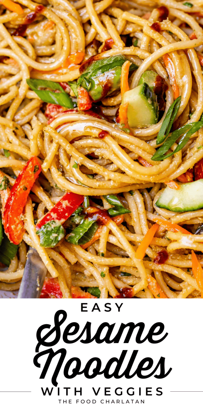 sesame peanut noodles with green onions, cucumber, red bell peppers, close up.