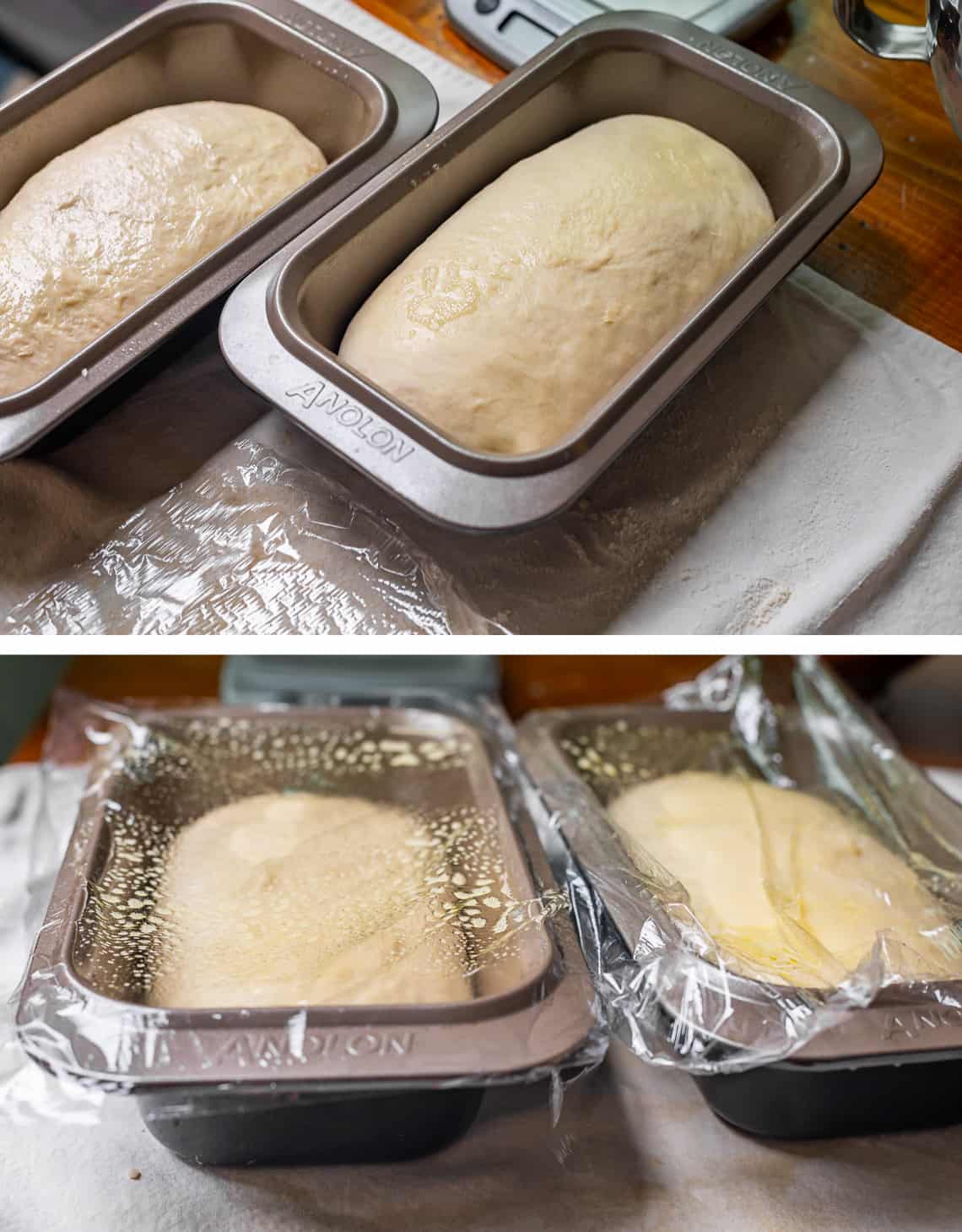 top two shaped ;paves place in greased pans, bottom loaves topped with nonstick spray lined plastic wrap.