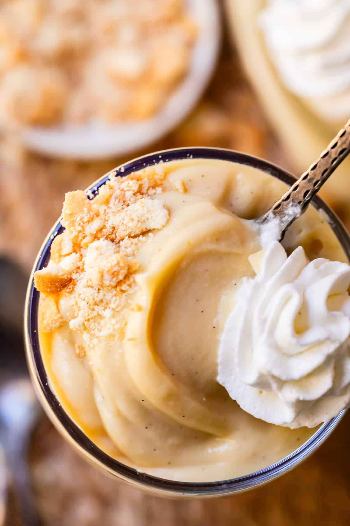 a single glass cup full of creamy vanilla pudding with vanilla flecks and whipped cream.
