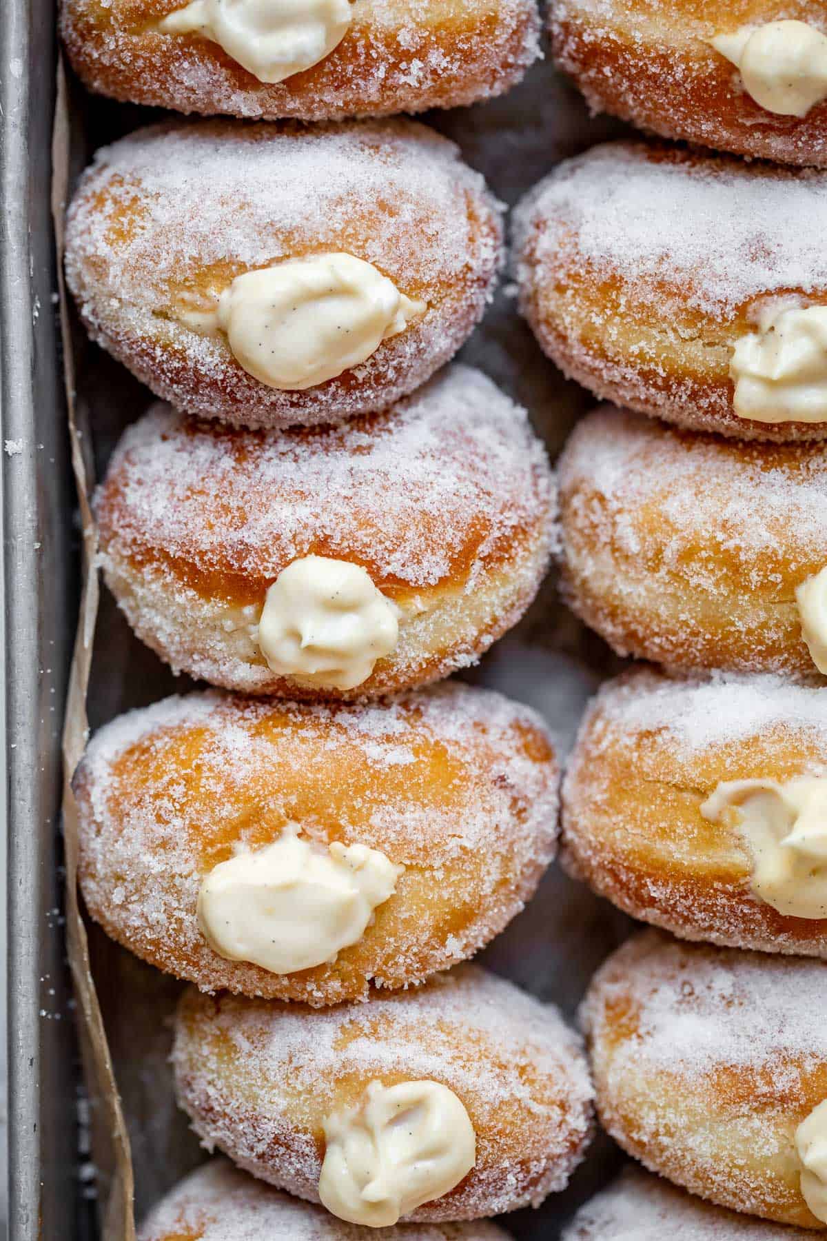 sugar rolled homemade Bavarian cream donuts on parchment paper on a tray.