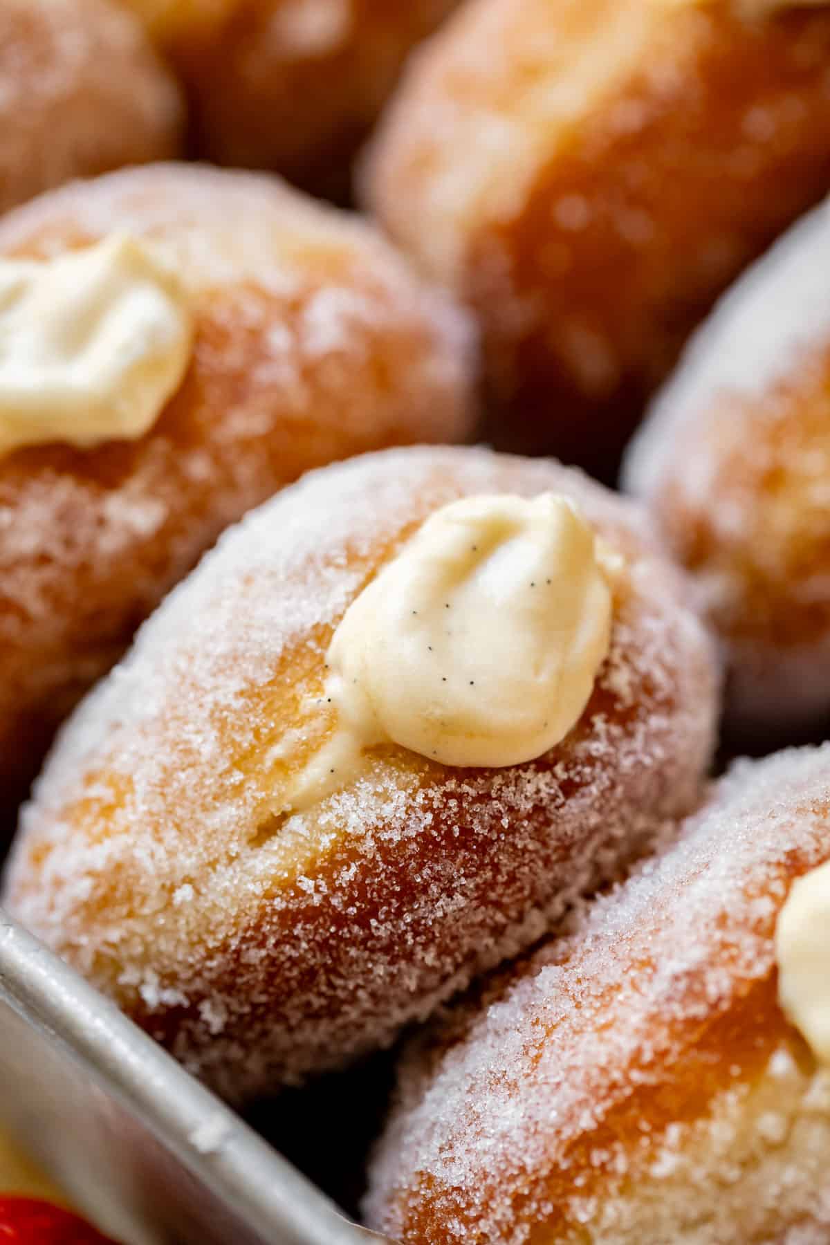 close up of a puffy, sugar rolled donut filled with homemade Bavarian cream.