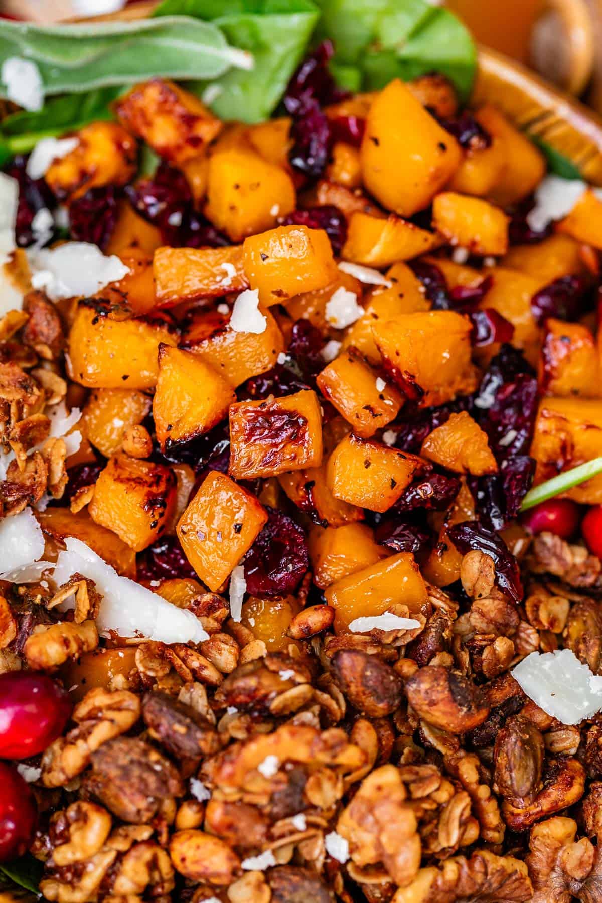 a big pile of crispy roasted butternut squash and cranberries sitting atop a bowl of salad.