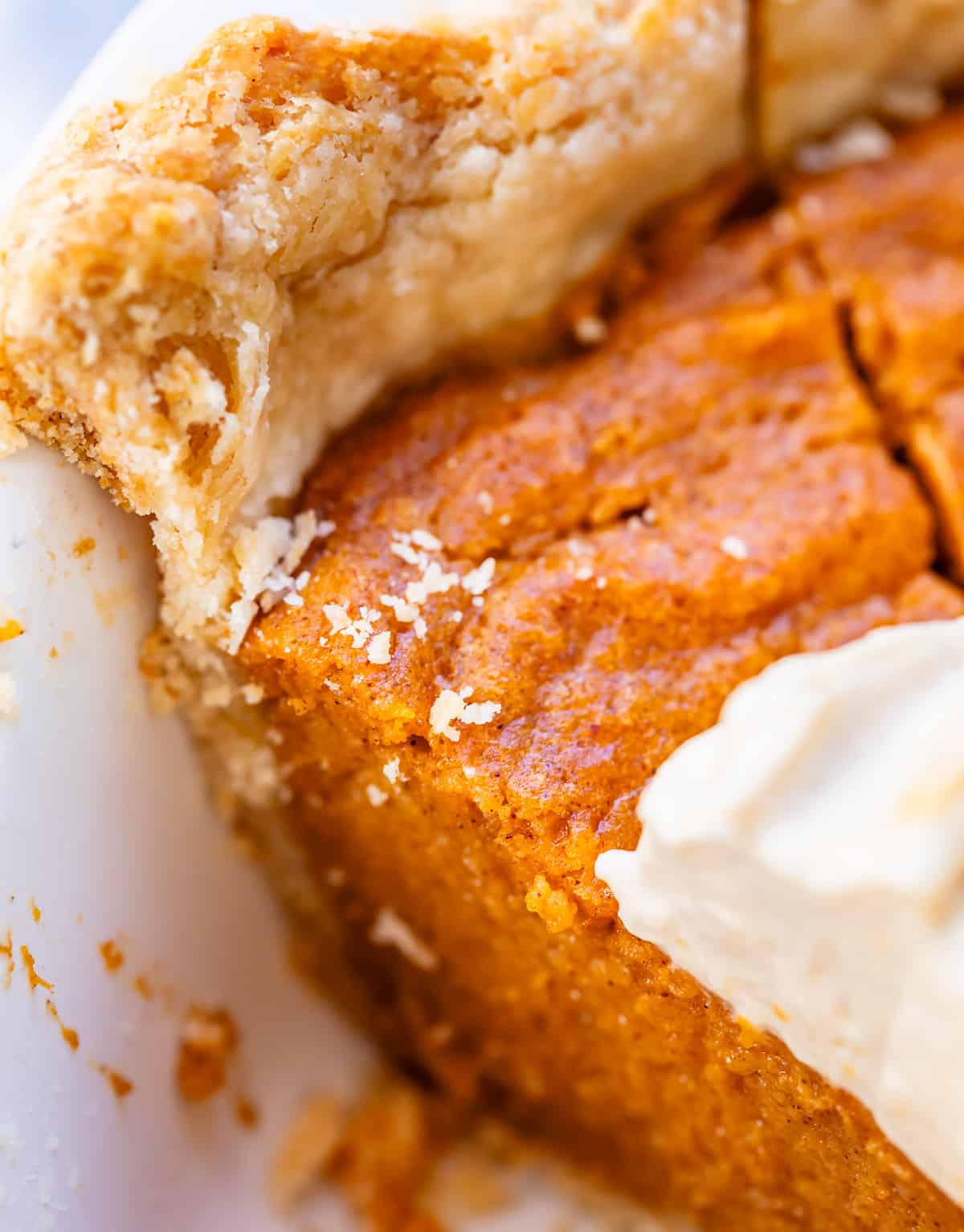 close up of the flaky crust and dreamy texture of the filling of pie still in the pie pan.