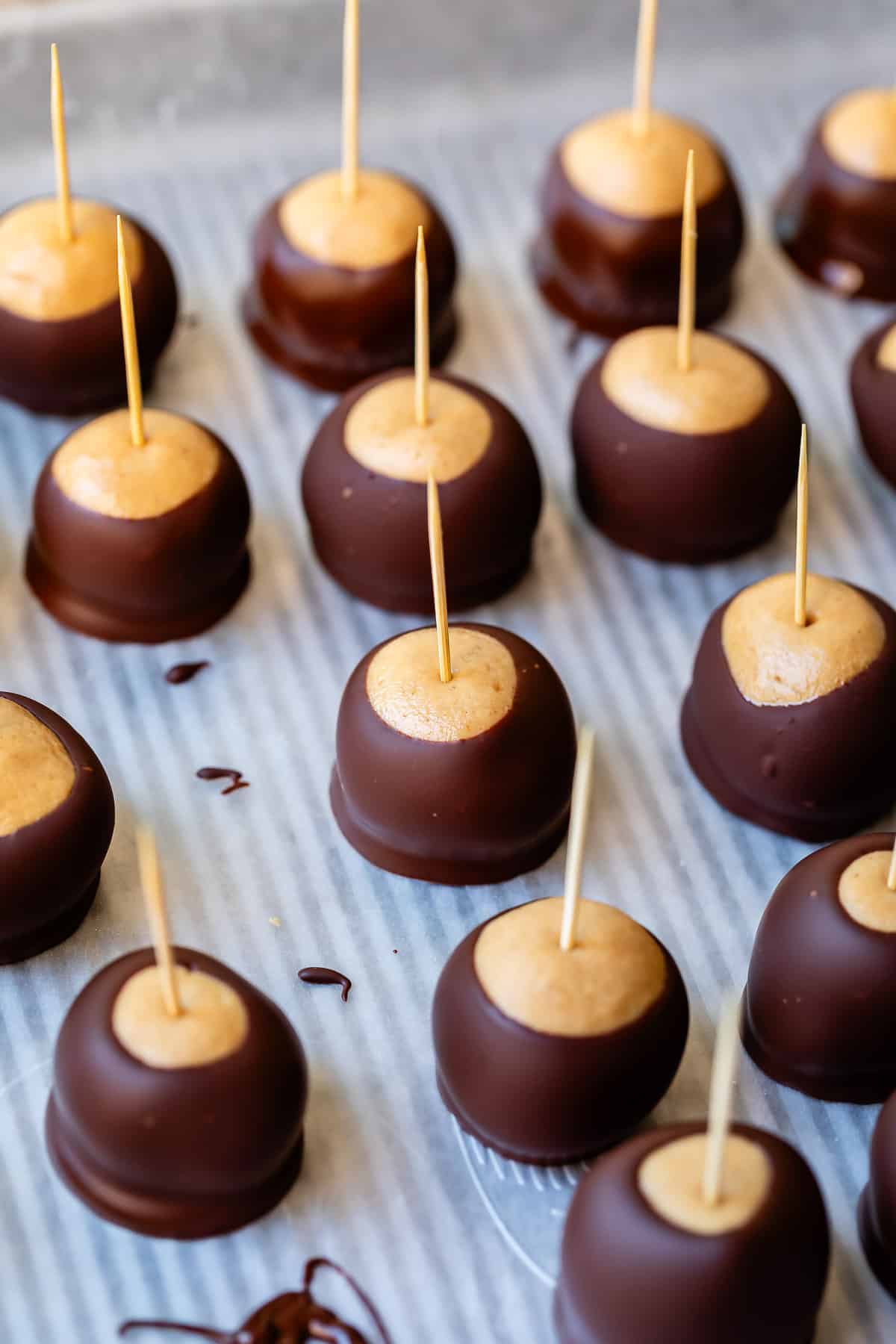 baking sheet with dipped buckeyes, still with toothpicks in them.