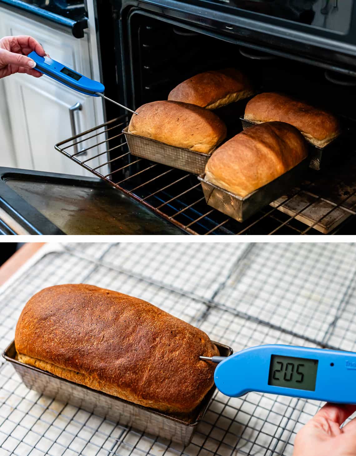 top instant thermometer checking internal temp with four loaves in oven, bottom temp reading 205.
