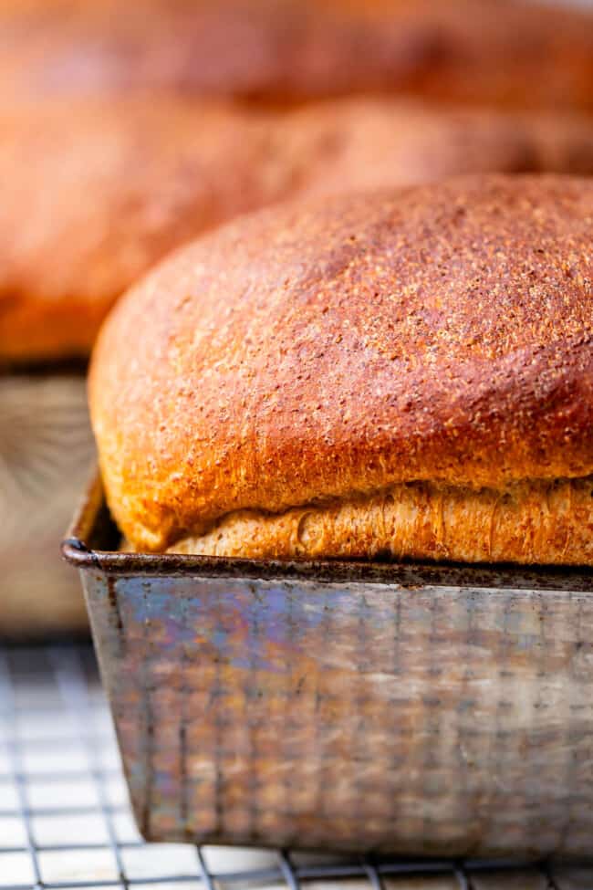 loaf of bread in a metal pan.