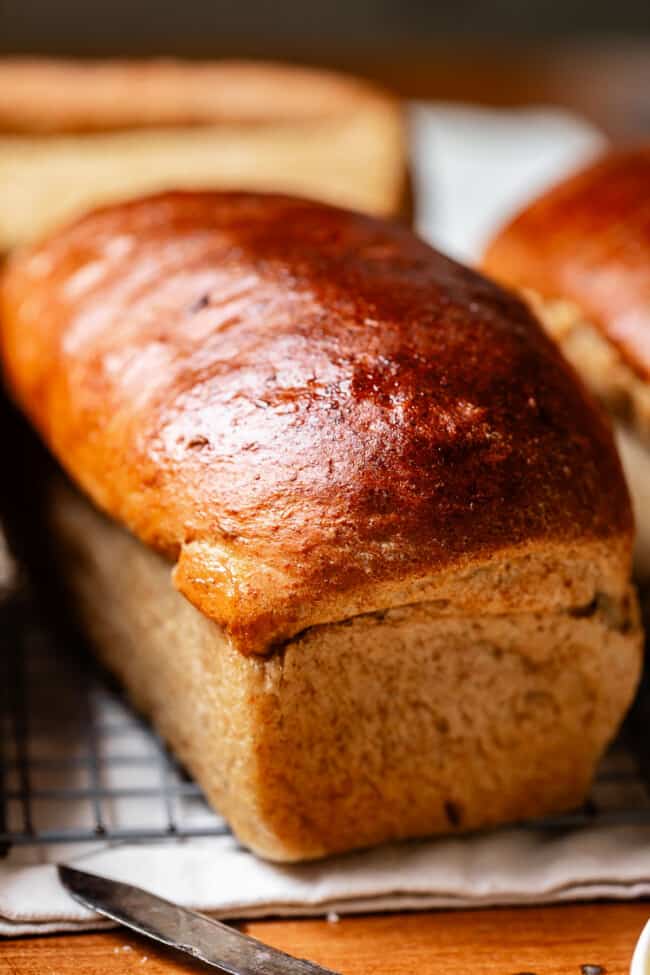 side shot of a loaf of rye bread on a cooling rack.