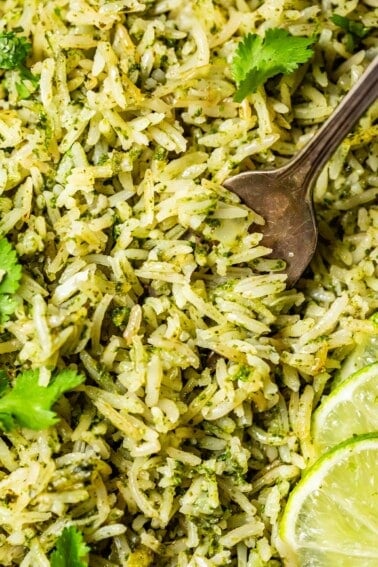 a metal fork digging in to a close up shot of green cilantro lime rice with cilantro garnish.