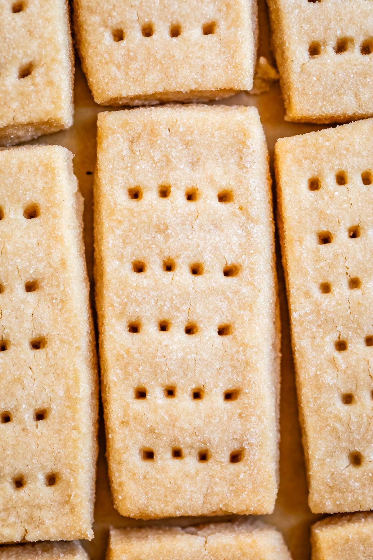 close up overhead shot of rectangular shortbread cookie with form marks.