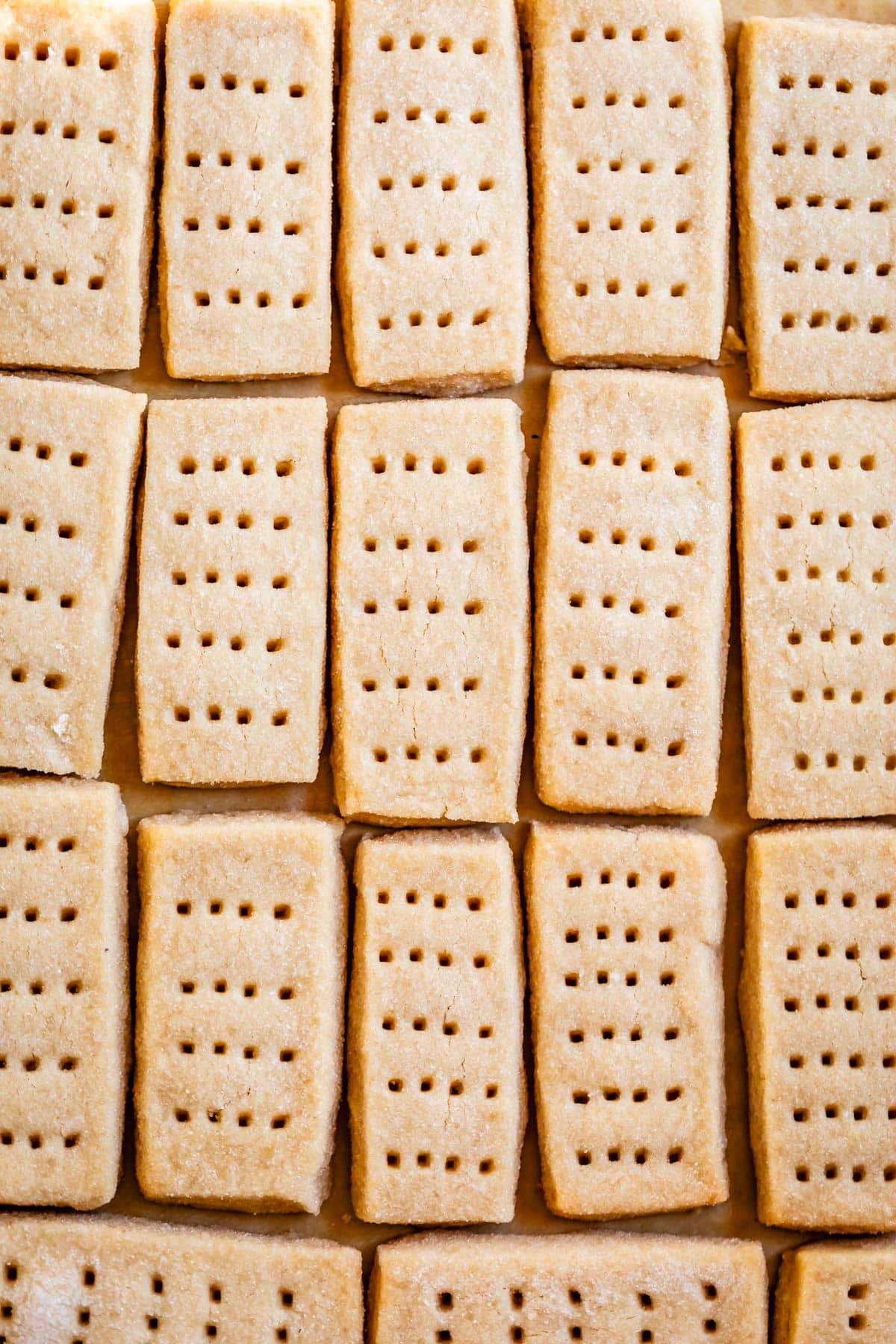 overhead shot of lined up rectangular shaped shortbread cookies with fork marks.