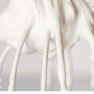 pinterest image of whipped cream with text "how to make easy whipped cream".