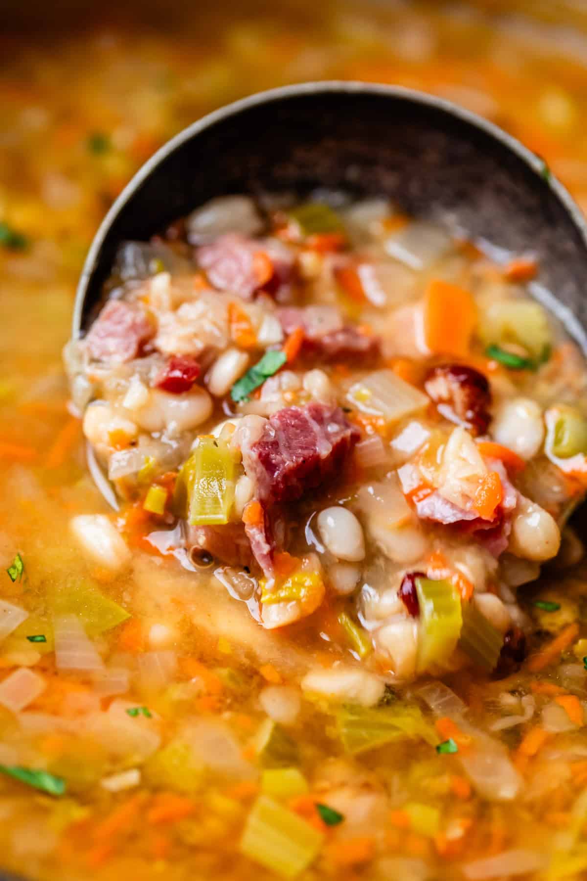 ladle chock full of goodness in ham and bean soup perfect for a rainy day.