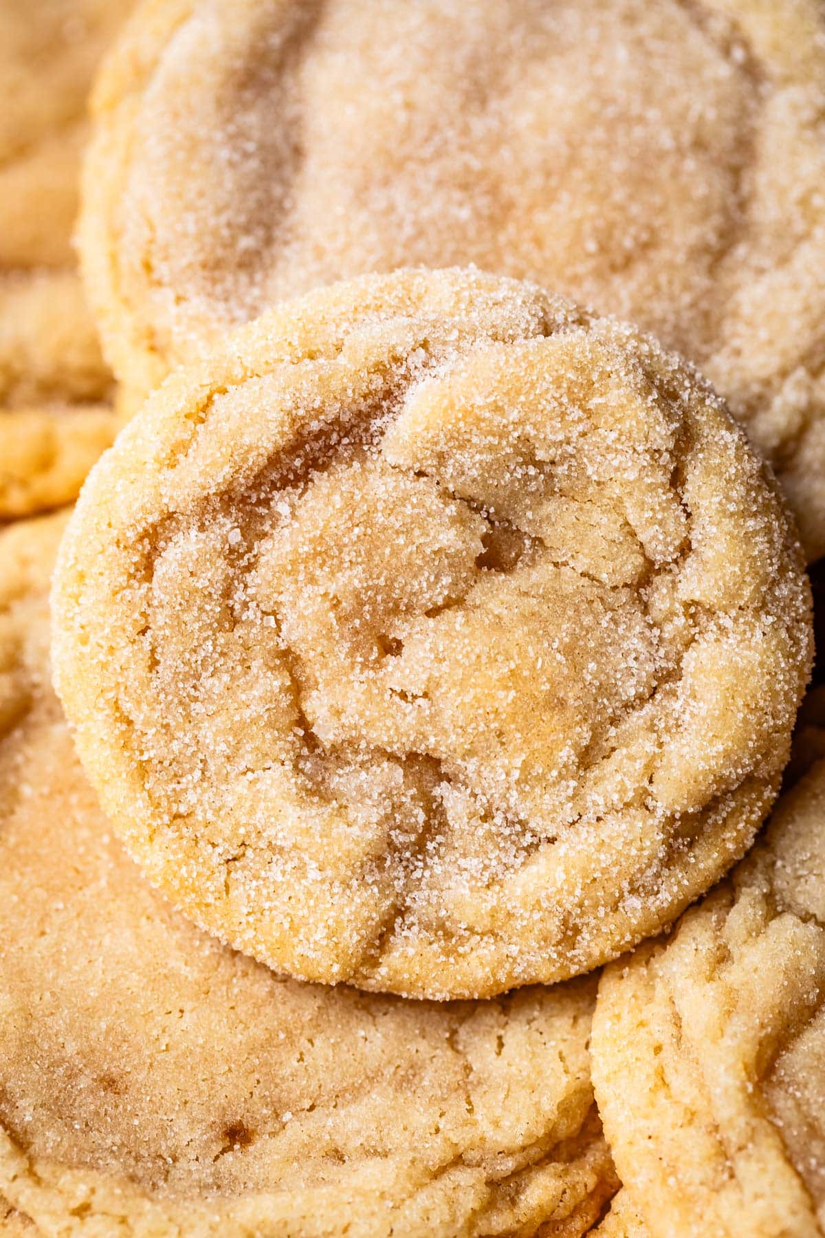 close up of a no roll sugar cookie sitting on top of a loose pile of other sugar cookies.