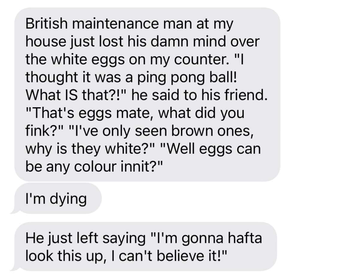 screenshot of text message about white eggs vs brown eggs.