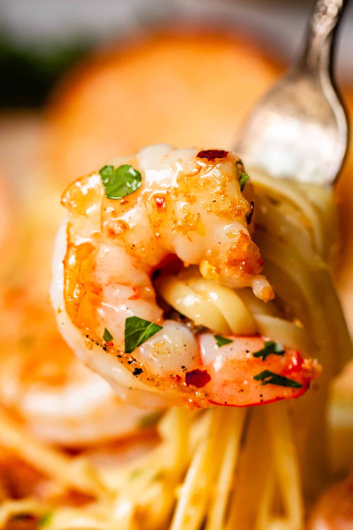 a forkful of linguine with a juicy shrimp.