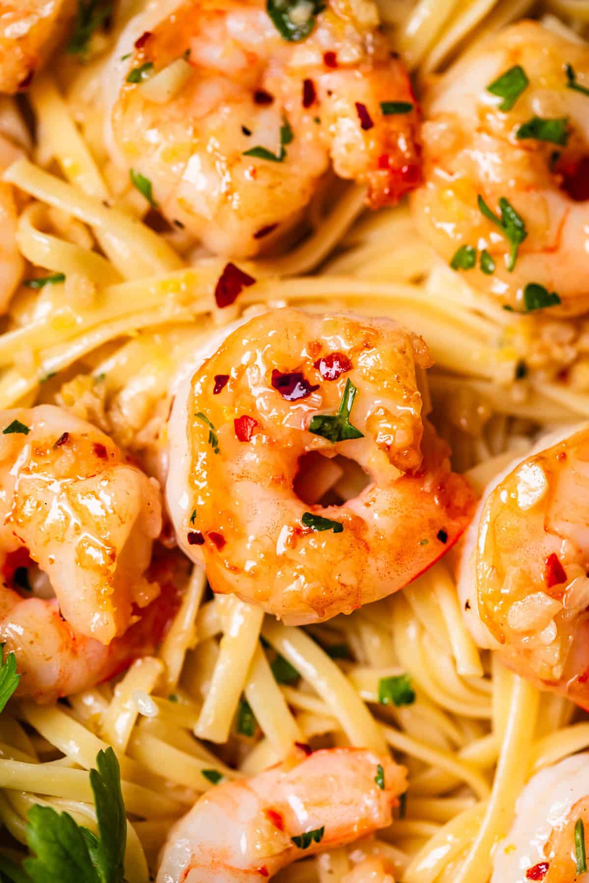 shrimp and linguine in garlic butter sauce.