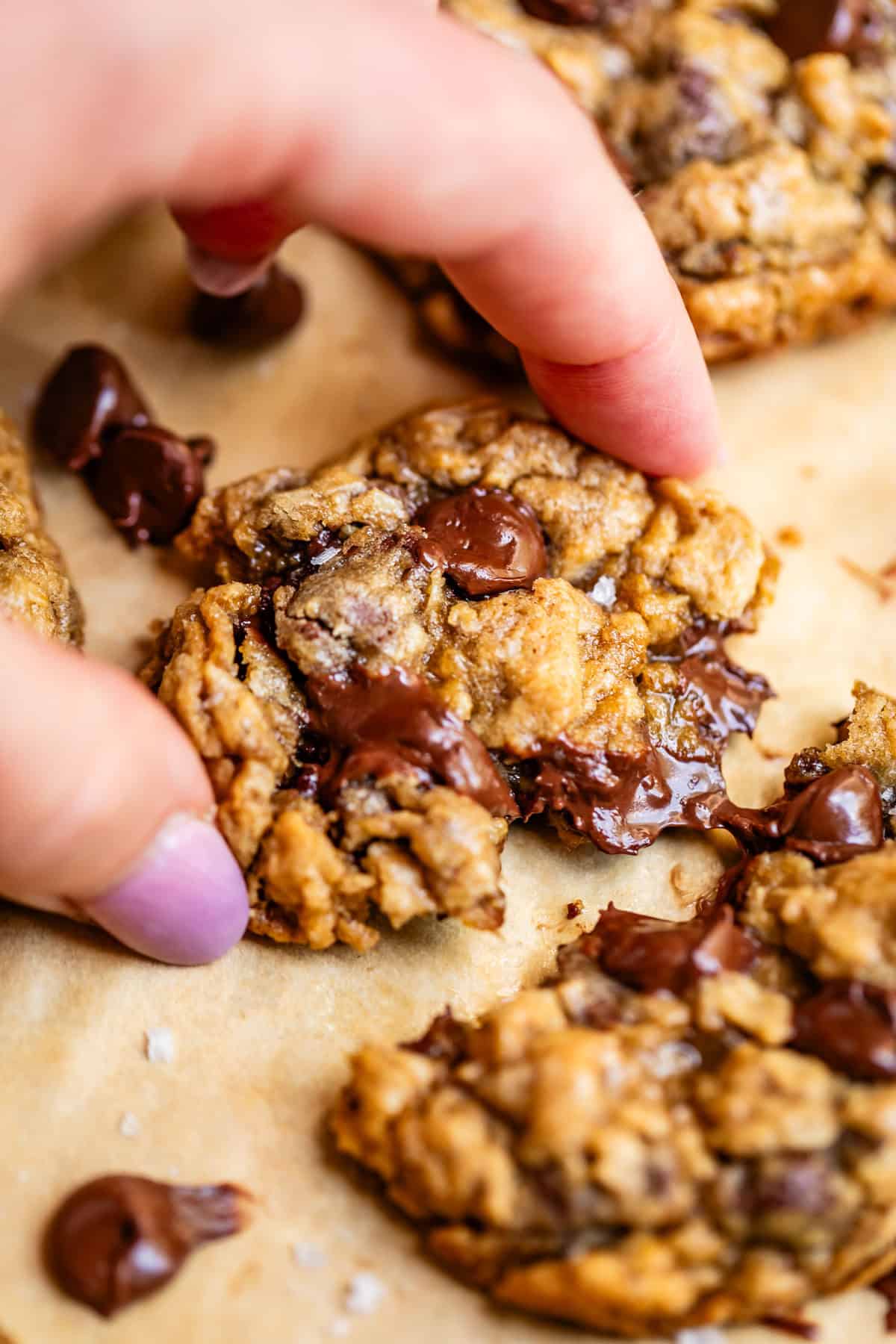 finger and thumb pulling one half of an oatmeal chocolate chip cookie away from other half.