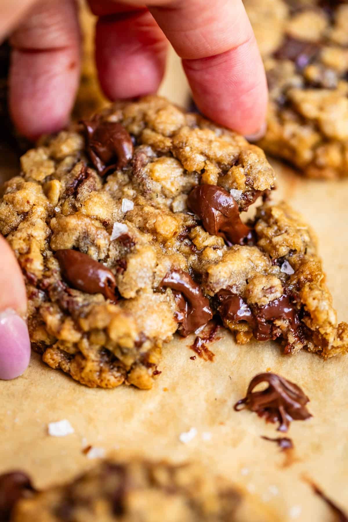 hand holding a baked oatmeal chocolate chip cookie with a bite taken from it.