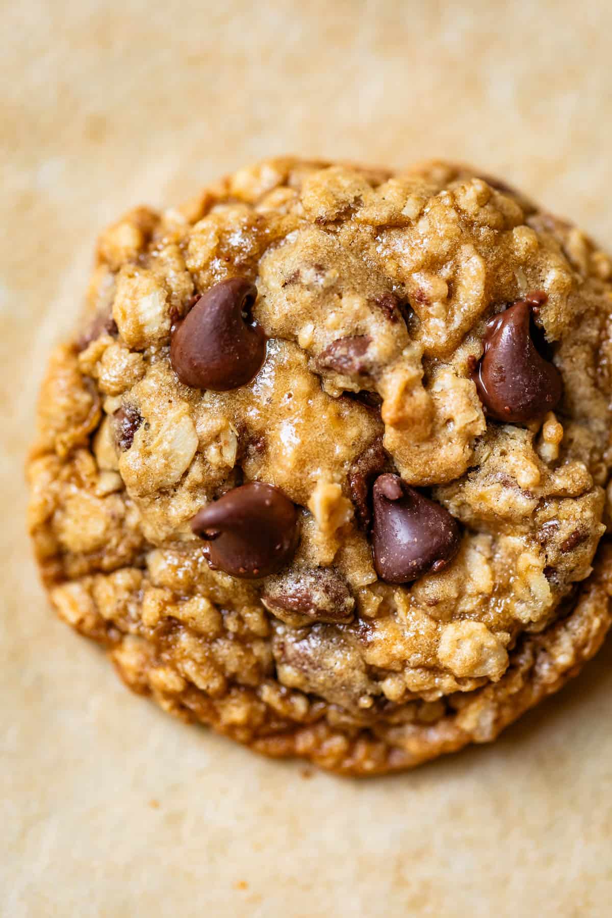 close up of a freshly baked oatmeal chocolate chip cookie.