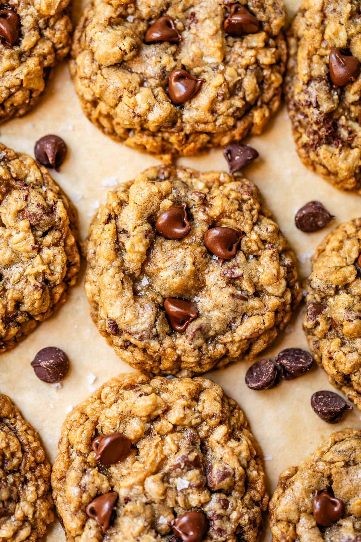 rows of oatmeal chocolate chip cookies with flaky sea salt on parchment paper.
