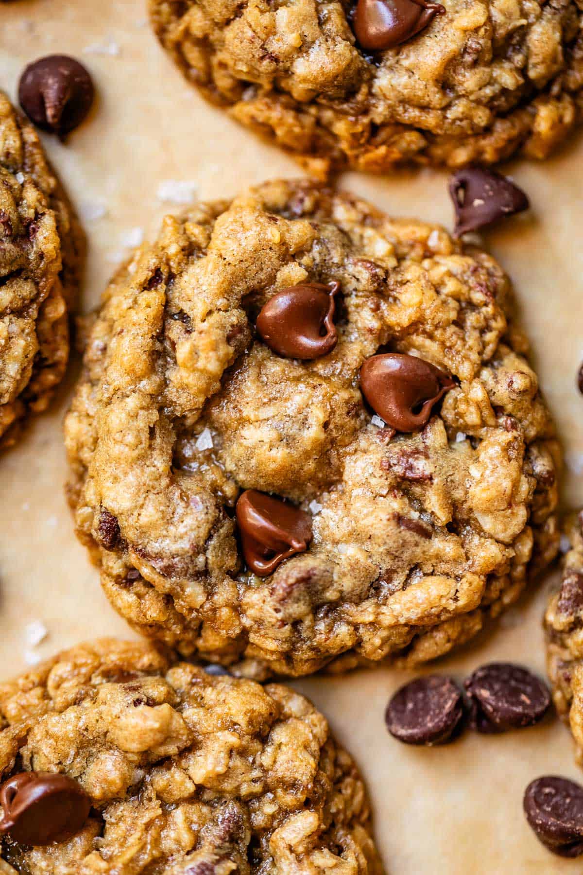 close up of some oatmeal chocolate chip cookies with flaky sea salt on parchment paper.