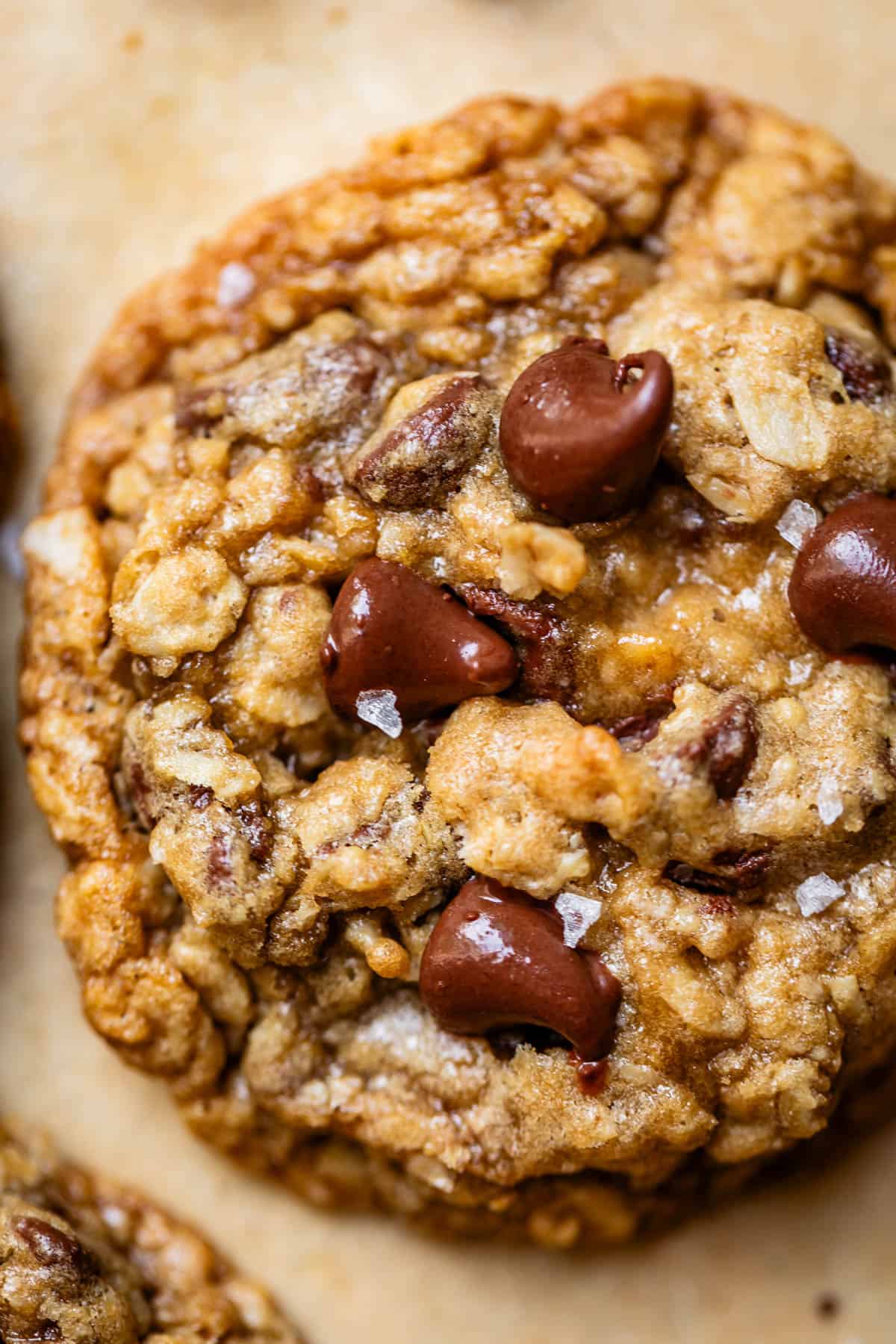 close up of single oatmeal chocolate chip cookie with flaky sea salt on top.
