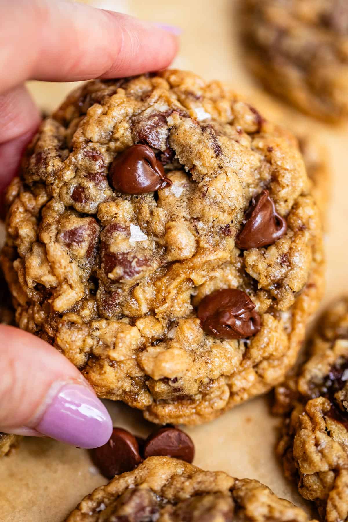 finger and thumb holding up a baked oatmeal chocolate chip cookie.