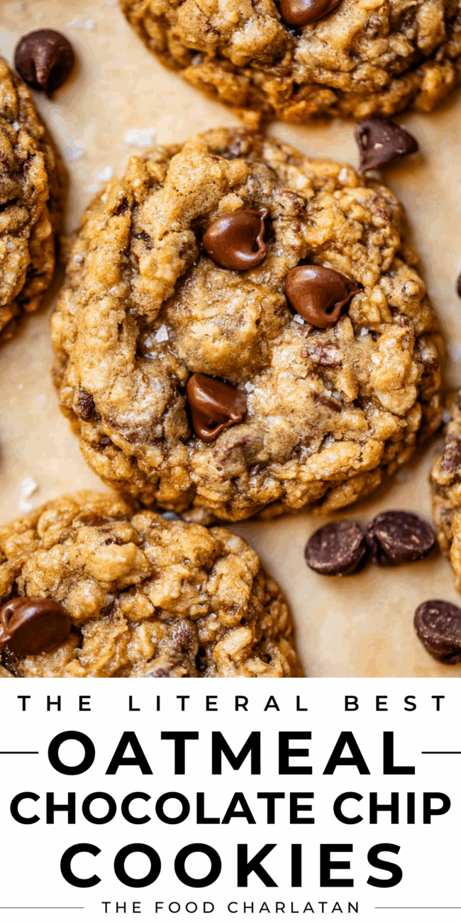 pinterest image of cookies with text "the literal best oatmeal chocolate chip cookies".