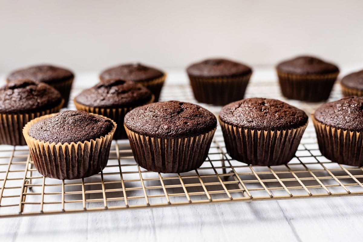 plain, unfrosted chocolate cupcake in paper liner on cooling rack.