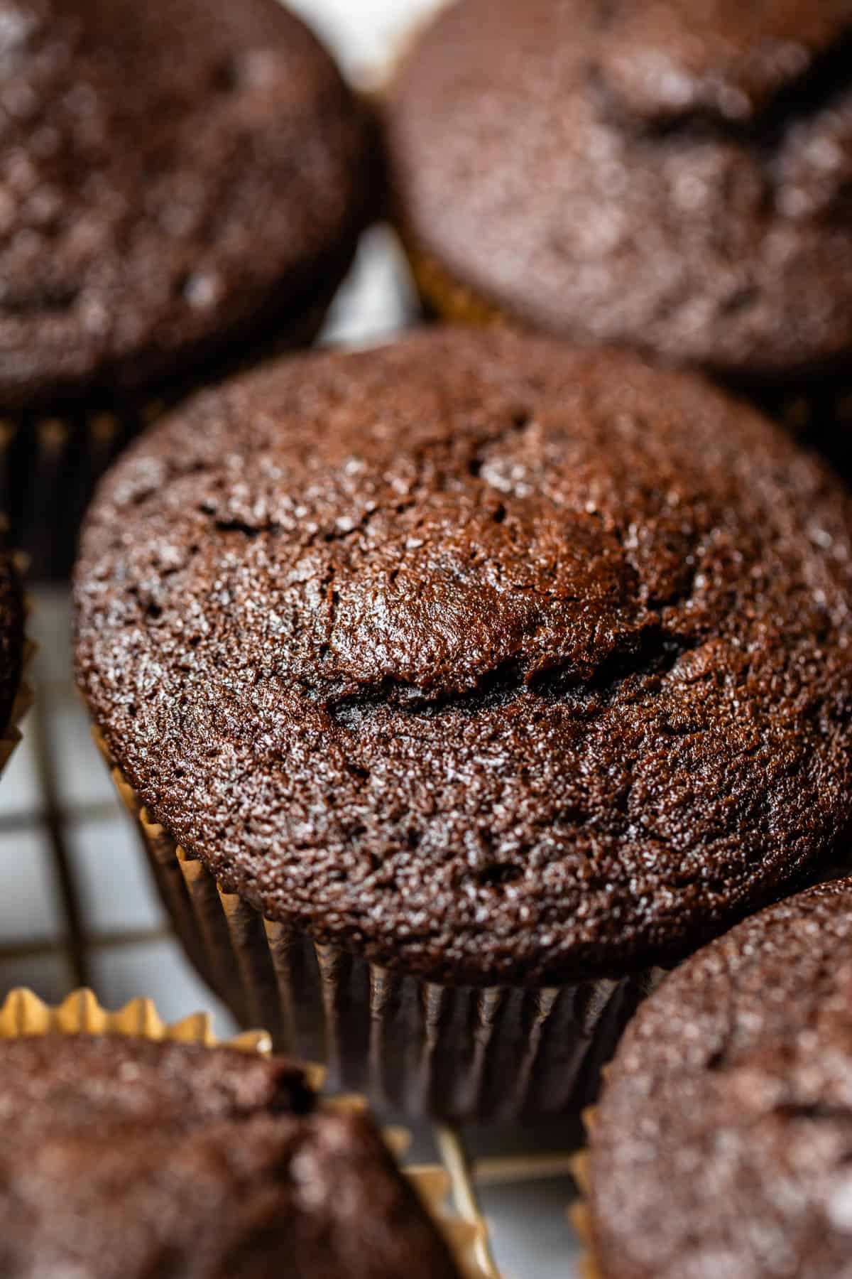 plain, unfrosted chocolate cupcake in paper liner on cooling rack.