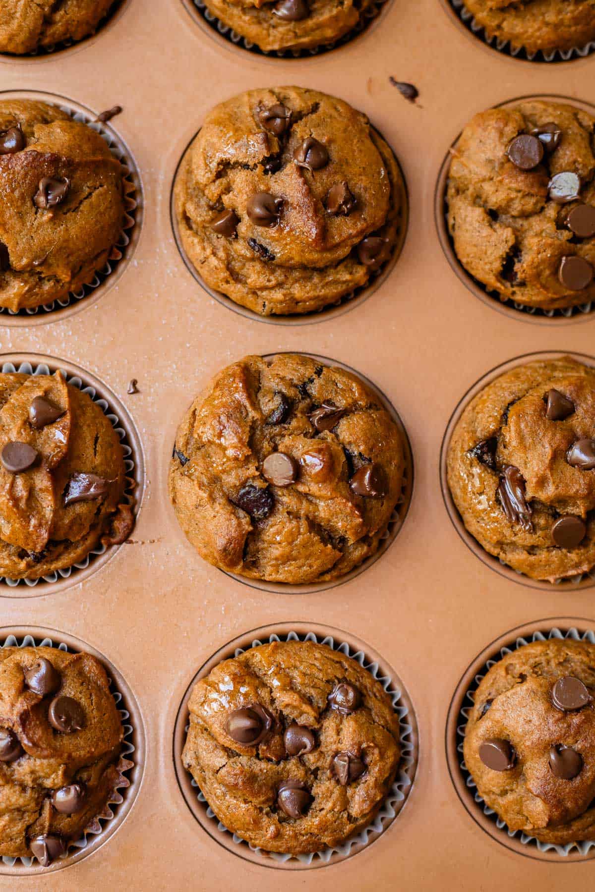 overhead shot of pumpkin chocolate chip muffins in pan.