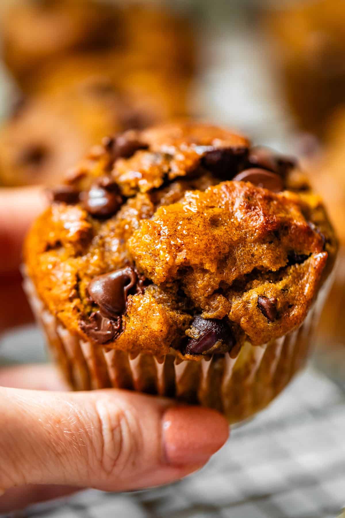 thumb and fingers holding a chocolate chip pumpkin muffin still in its paper liner.