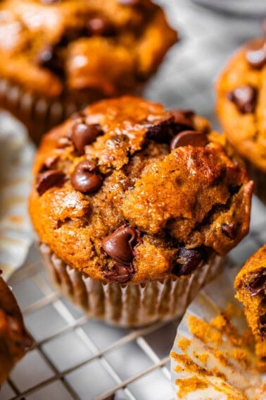 close up of a chocolate chip pumpkin muffin still in its liner on a cooling rack.