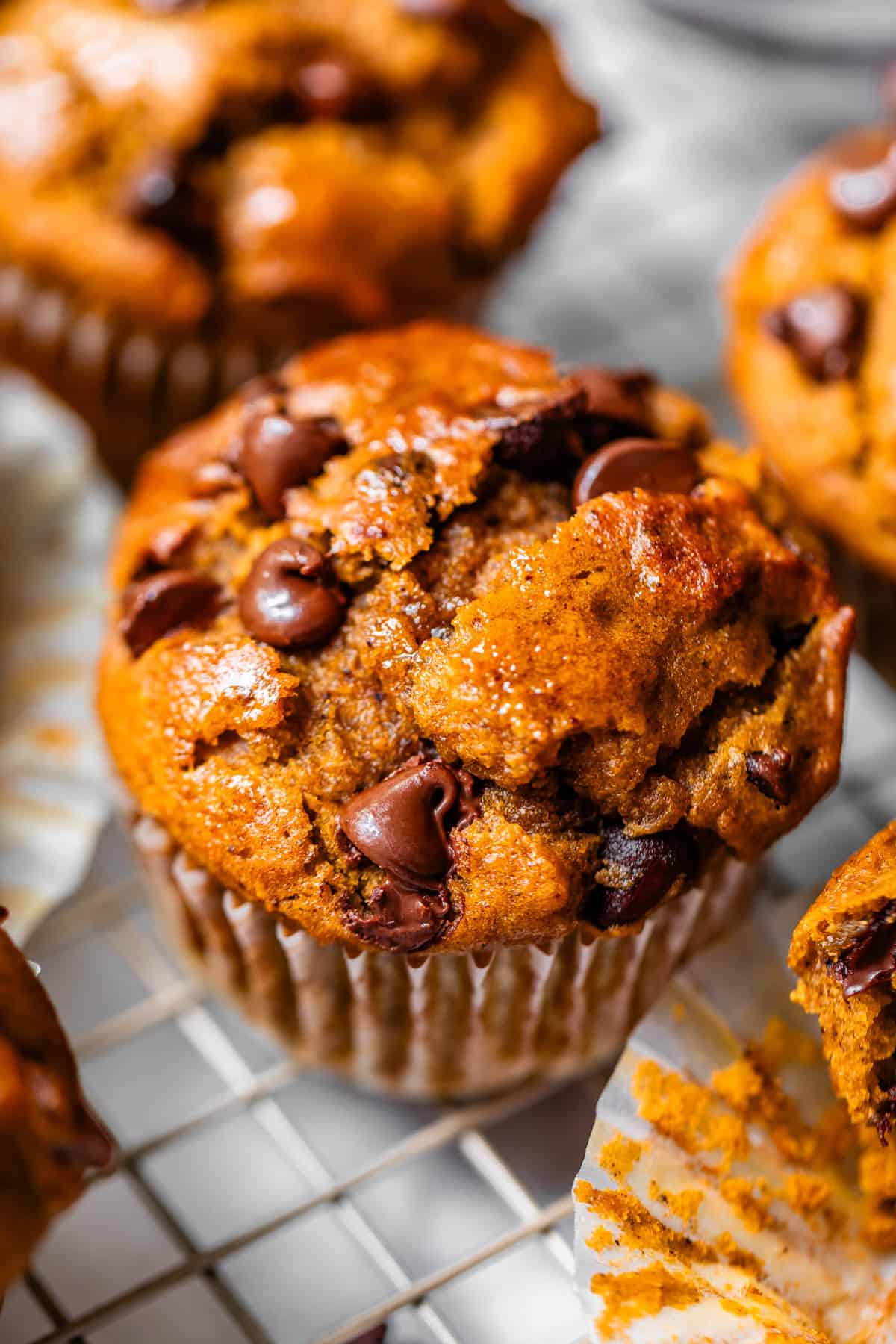 close up of a chocolate chip pumpkin muffin still in its liner on a cooling rack.