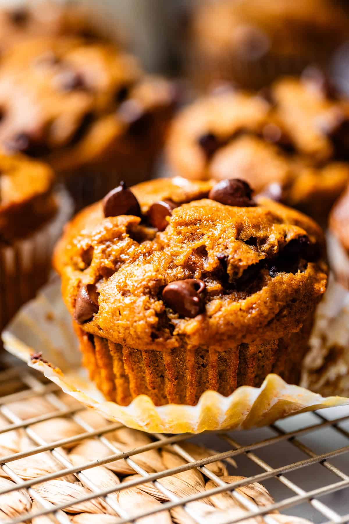 a pumpkin chocolate chip muffin with the paper liner pulled down to show the sides.