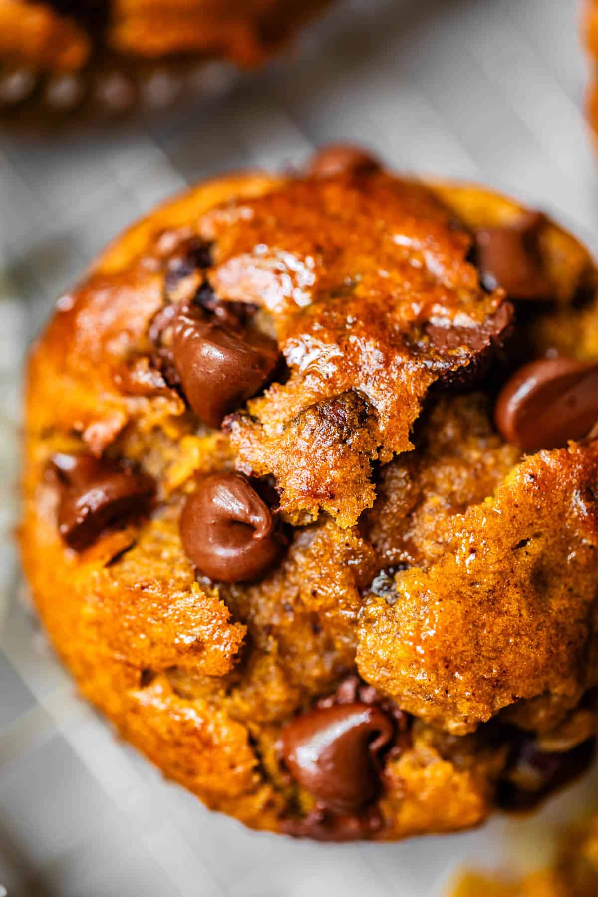 looking down at the top of a pumpkin chocolate chip muffin showing the melty chocolate.