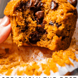 pinterest image of a muffin with text "seriously the best pumpkin chocolate chip muffins".