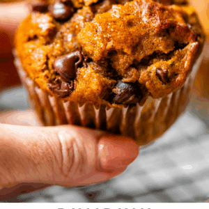 pinterest image of a muffin with text "pumpkin chocolate chip muffins".