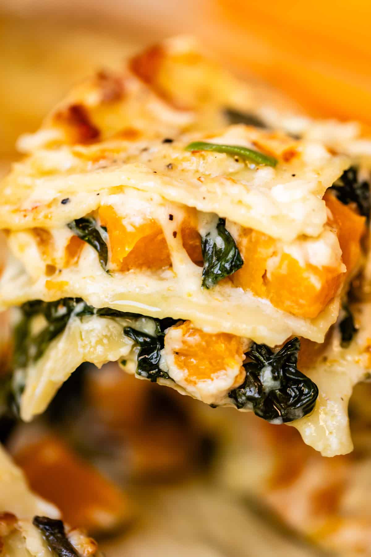 Close-up of a slice of vegetable lasagna with visible layers of pasta, creamy sauce, wilted spinach, and roasted. orange squash pieces. The surface is golden and slightly browned.