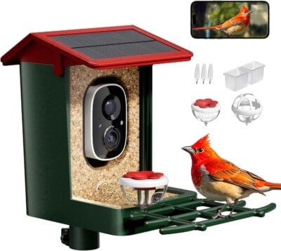 A red-roofed bird feeder with a built-in camera is shown. A cardinal is perched on the feeder. Nearby are detachable accessories, and a smartphone displays a live camera view of the bird.