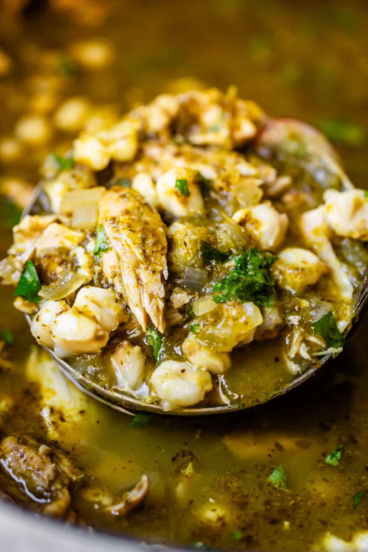 A close-up of a ladle filled with green stew containing shredded chicken, hominy, onions, and chopped cilantro in a flavorful broth.