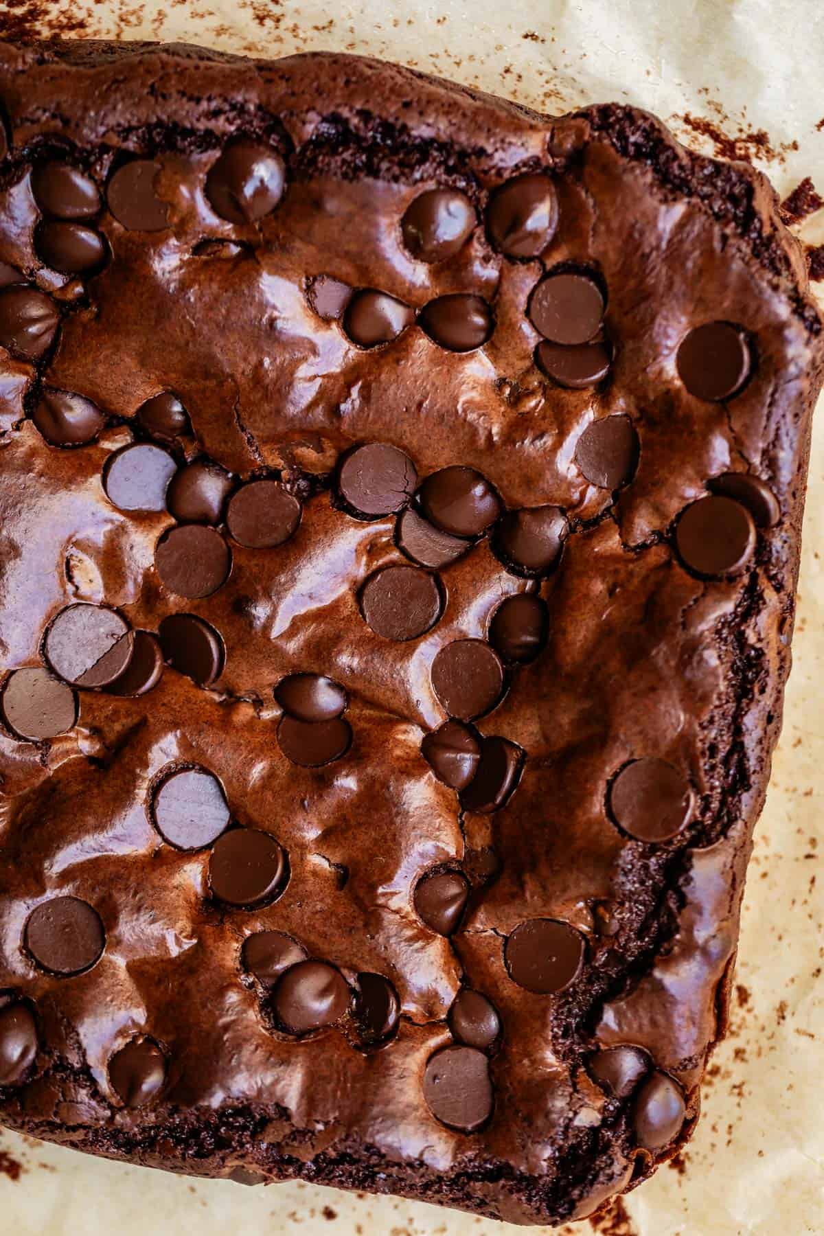 A close-up of a freshly baked chocolate brownie topped with melted chocolate chips, resting on parchment paper. The surface is shiny and cracked, with rich, gooey texture and scattered chocolate chips.
