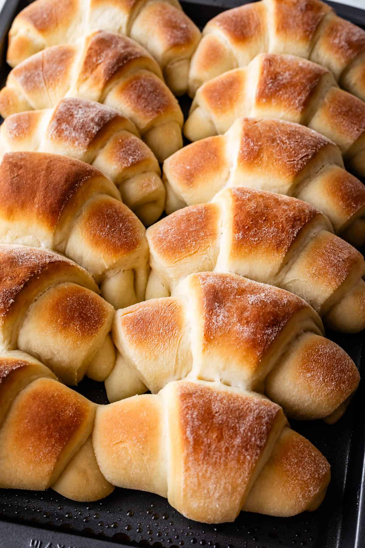 A tray of freshly baked golden-brown crescent rolls arranged in neat rows, with a soft, fluffy texture and slightly sugared tops.