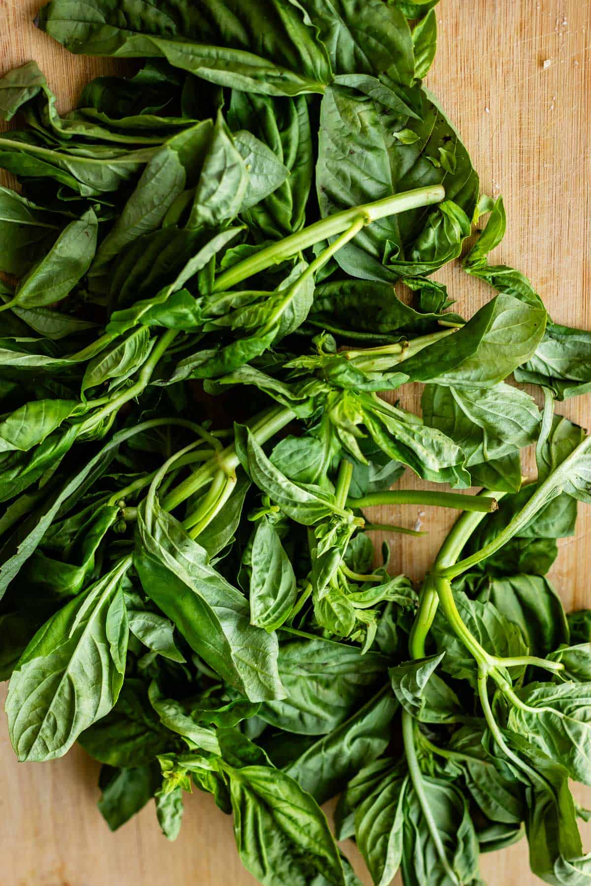 Several fresh basil stems with green leaves are spread out on a wooden surface, displaying their vibrant color and leafy texture.